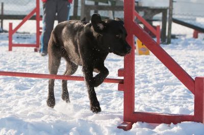 _MG_8448.jpg