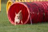_MG_5757.jpg