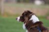 _MG_5773.jpg