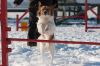 _MG_8091.jpg