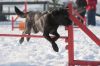 _MG_8223.jpg