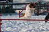 _MG_8227.jpg
