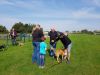 IMG-20200913-WA0025~0.jpg